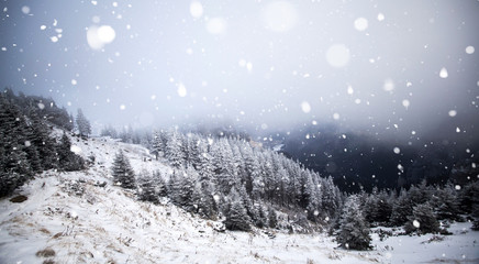 Trees covered with hoarfrost and snow in winter mountains - Christmas snowy backgroundic holiday background