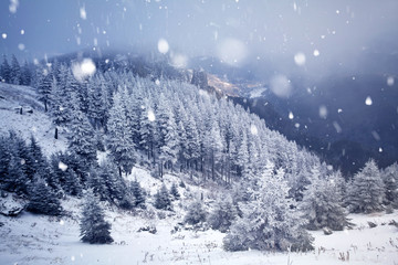 Trees covered with hoarfrost and snow in winter mountains - Christmas snowy backgroundic holiday background