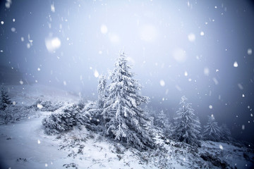 Trees covered with hoarfrost and snow in winter mountains - Christmas snowy backgroundic holiday background