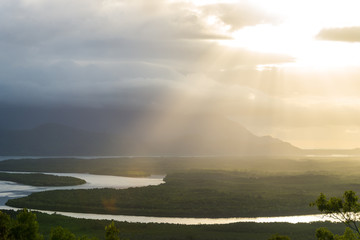 Godrays above rain forest