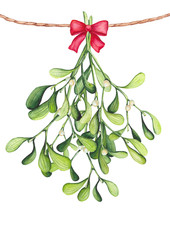 Watercolor Bouquet with Mistletoe and Bow. Christmas Illustration