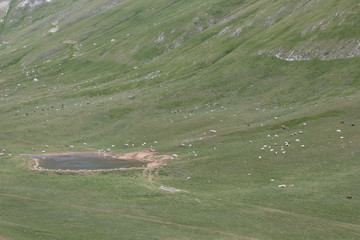 Alpeggio di montagna, valle al Monte San Gregorio Di Paganica, Parco Nazionale Gran Sasso e Monti...