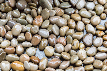 Pebbles and Rain Water