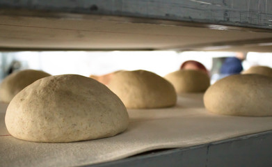Small balls of dough with flour for pizza or cakes and scones lying on the baking paper. Shallow depth of field