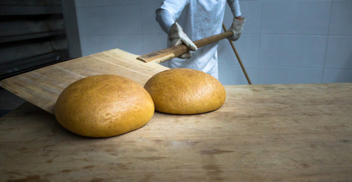 Baker woman getting bread out of bakery oven in her bakery