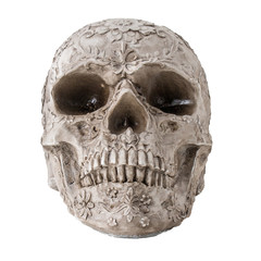Skull isolated on white background. Skull with carved pattern.