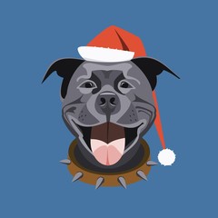  pit bull in santa claus cap, year of the dog
