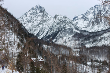 View of the High Tatras mountains from a ski and hiking Hrebienok resort located in the Tatra National park. Slovakia.