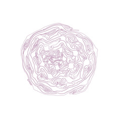 Drawing of Inside of Red Cabbage