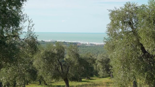 15144_View_of_the_sea_from_the_Rod_farm.mov