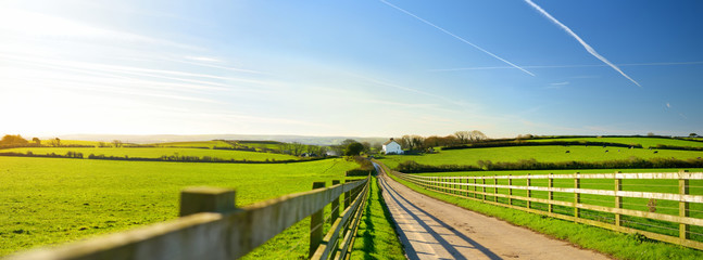 Fence casting shadows on a road leading to small house between scenic Cornish fields under blue sky, Cornwall, England