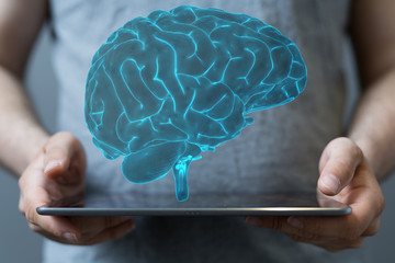 brain