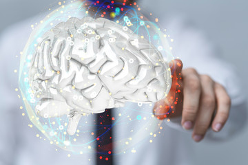 brain