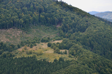 Fragment of the mountainous terrain in the Carpathians, Ukraine. The forest is forgiven by the...