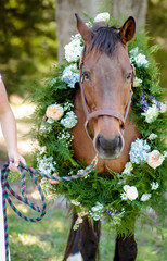 Horse with Derby Flowers