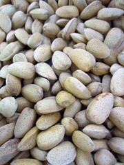 unshelled almonds