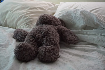 Stuffed animal bear on comfortable bed
