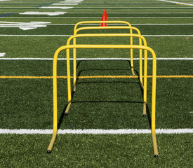 Yellow mini hurdles and orange cones on green turf field
