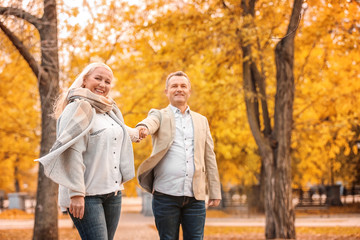 Mature couple walking in park on autumn day