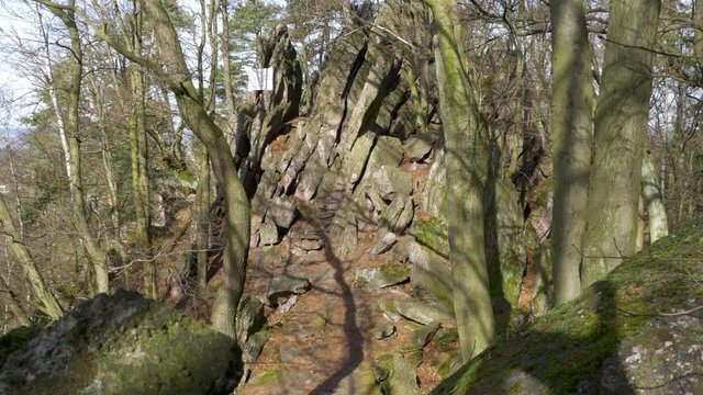 Man walks through rocks in forest
