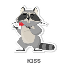 Isolated raccoon with kiss.