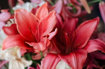 Obraz na płótnie Canvas background from a bouquet of gentle flowers red lily closeup nature wallpaper postcard plant texture beauty backdrop