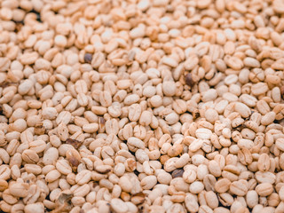 Graines de café seché