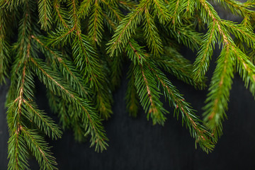 spruce and black background. Wooden background. Christmas of the heart. Black background. Beautiful fir