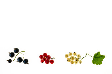 isolated white, red and black currants with copy space on white background