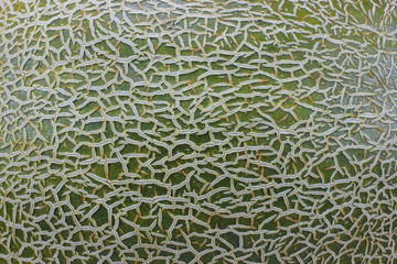 texture of the skin of the melon closeup of the pattern drawn by nature