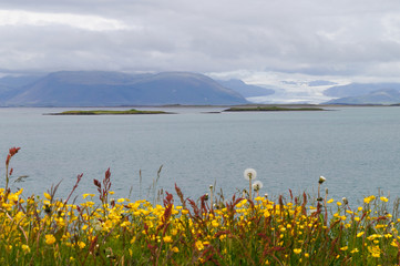 Beautiful view in summer,Iceland.