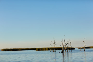 Fototapeta na wymiar Wide open Mississippi waterscape and cloudless sky