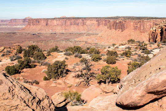 Shrubs and cliffs in Canyonlands National Park in Utah