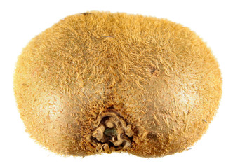 Unpeeled kiwifruit with shape defect (flat fruit or kiwi butterfly) isolated on white background