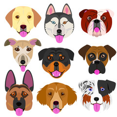 Obraz premium dog face set with tongue out