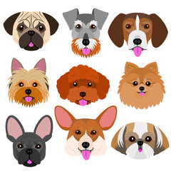 Fototapeta premium small dog face set with tongue out