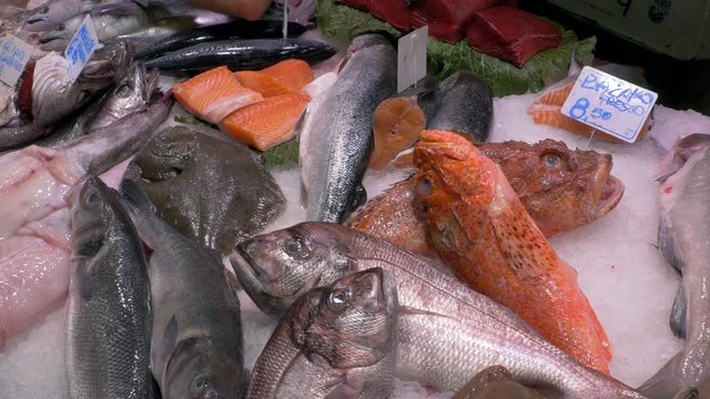 Fish in the market La Boqueria in Barcelona