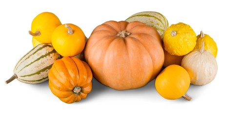 Decorative Gourds