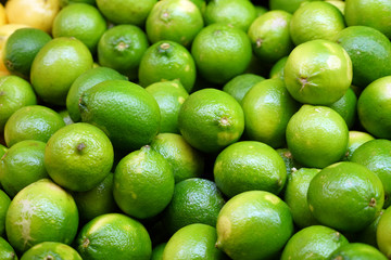 Fresh green lime pile in harvest season