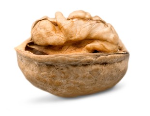 open walnut with shadow