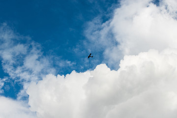 Purely white fluffy white cloud like cotton candy against the clean blue sky