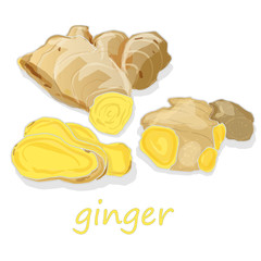Fresh ginger on white background.