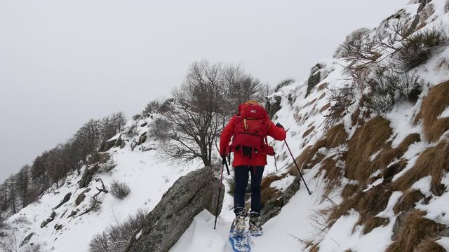 Trekking in inverno con le racchette da neve