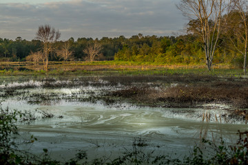 Open Water Prairie