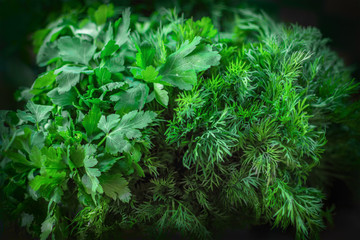 background texture of green dill and parsley, on the market counter