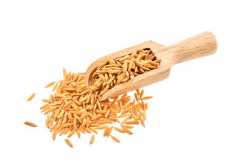  Paddy in scoop on white background