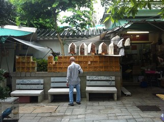 Hong Kong Bird Market