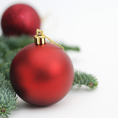 Christmas Tree Red Balls or Globes Decoration Isolated on white with Fir Branche. Square Size.