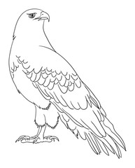 Eagle line art 11. Good use for symbol, logo, web icon, mascot, coloring book, sign, or any design you want.