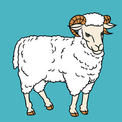 Illustration of Sheep-Vector Illustration